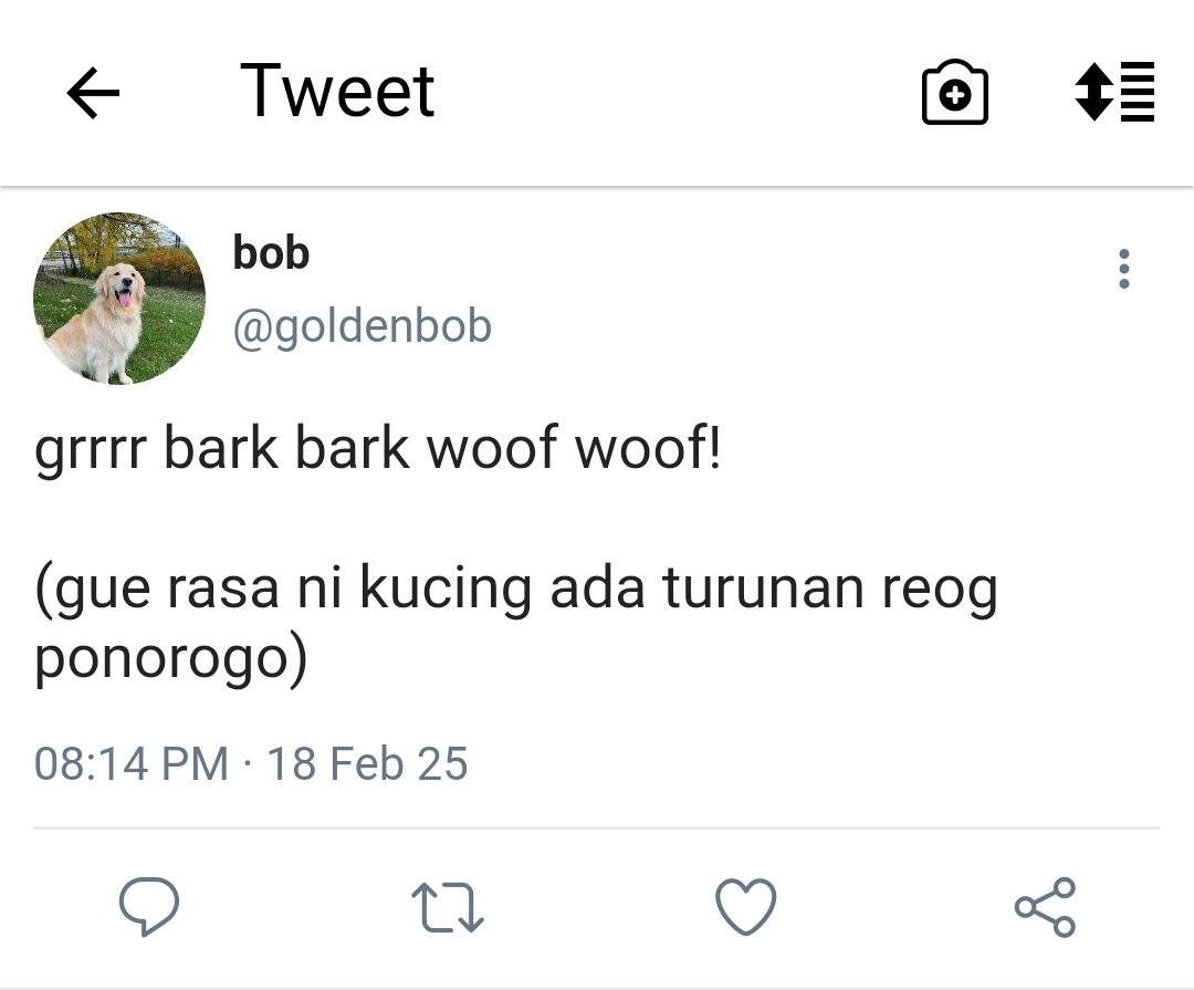iminggyou's tweet photo. Cat vs Dog 

Mg sudah melatih Bob, anjing golden retriever nya, agar menang lomba hewan cerdas. Tapi satu hal yang tidak dia perhitungkan adalah kehadiran KUCING RAGDOLL GALAK beserta ownernya yang membuat Bob juga dirinya kena mental di TKP 

A minwon au https://t.co/hIn9CD4323