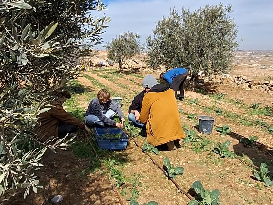 StavSalpeter's tweet image. In last week&apos;s @ATLCol solidarity visit to Masafer Yatta, Amni &amp;amp; Salim told us about a drastic spike in settler &amp;amp; state violence. The army now unprecedently destroys homes in *caves* as well as houses.

Local communities remain steadfast-but where is the international community?!