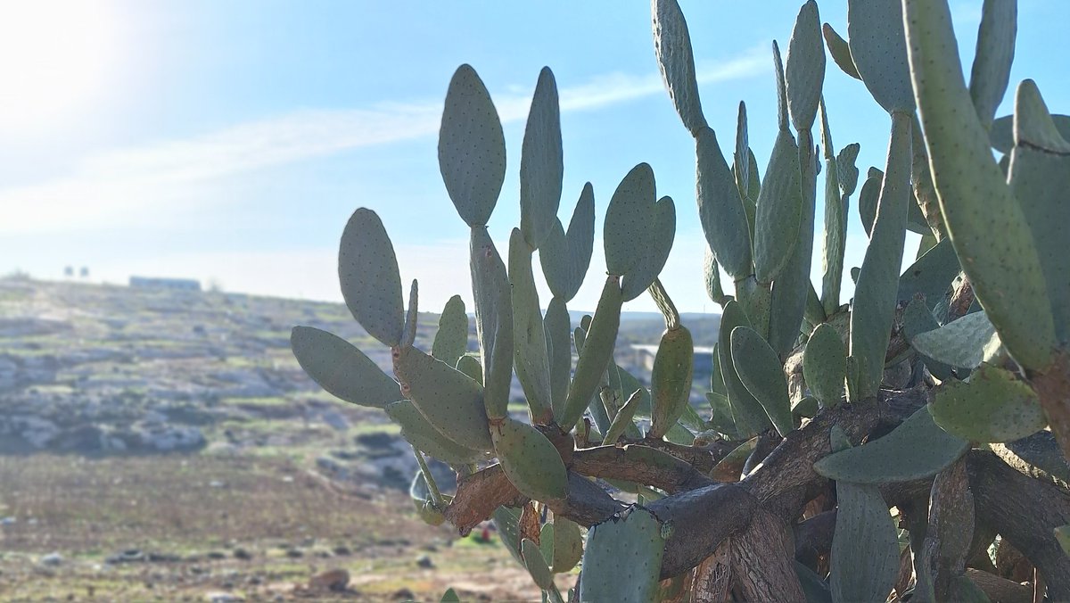 StavSalpeter's tweet image. In last week&apos;s @ATLCol solidarity visit to Masafer Yatta, Amni &amp;amp; Salim told us about a drastic spike in settler &amp;amp; state violence. The army now unprecedently destroys homes in *caves* as well as houses.

Local communities remain steadfast-but where is the international community?!