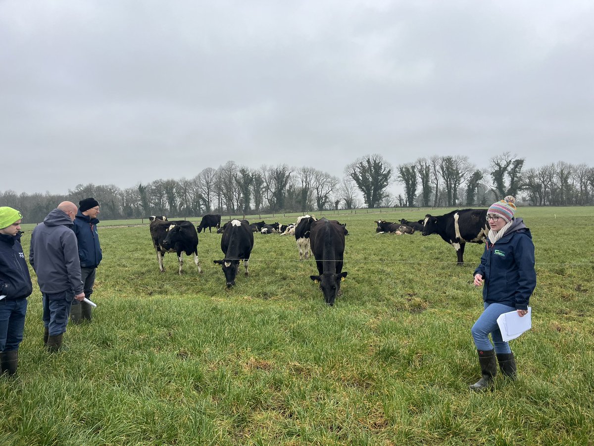 Eamonn O'Reilly tweet media