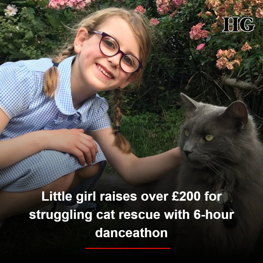 Lorelei Staken, 9, has raised £250 for Halstead's Friends of Felines, after the rescue sent out an urgent support appeal <a href="/HalsteadGazette/">Halstead Gazette</a> #Halstead 

halsteadgazette.co.uk/news/24940099.…
