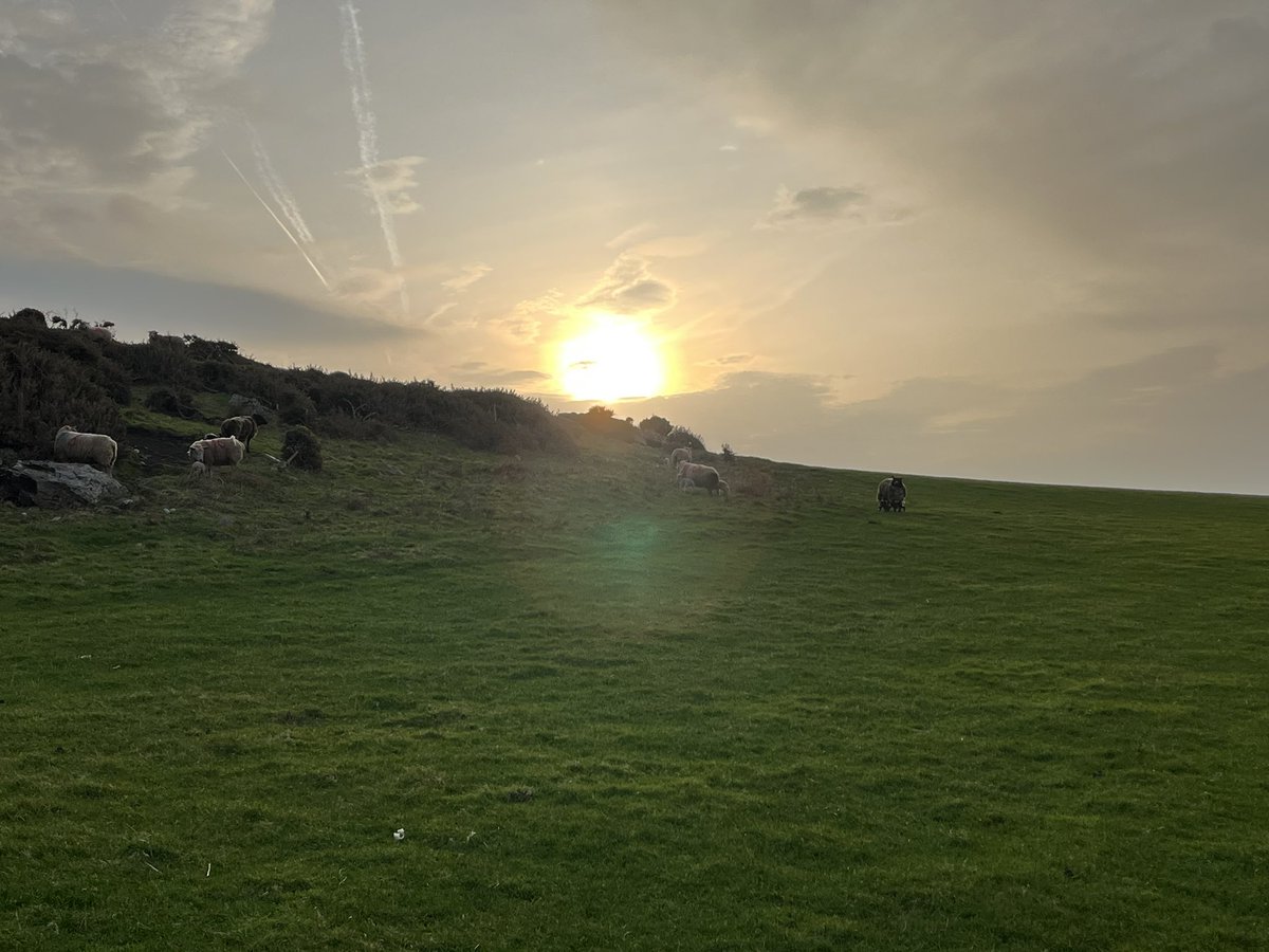 Wick Marcross (@wickps) on Twitter photo It’s been a busy morning <a href="/Treginnis_FFCC/">Lower Treginnis - Farms for City Children</a> . Lambs born before breakfast, logs chopped, veg prepared for lunch, a coastal walk and a spot of chicken wrangling! #HCI #ACL #collaboration #curiosity It’s been a busy morning <a href="/Treginnis_FFCC/">Lower Treginnis - Farms for City Children</a> . Lambs born before breakfast, logs chopped, veg prepared for lunch, a coastal walk and a spot of chicken wrangling! #HCI #ACL #collaboration #curiosity
