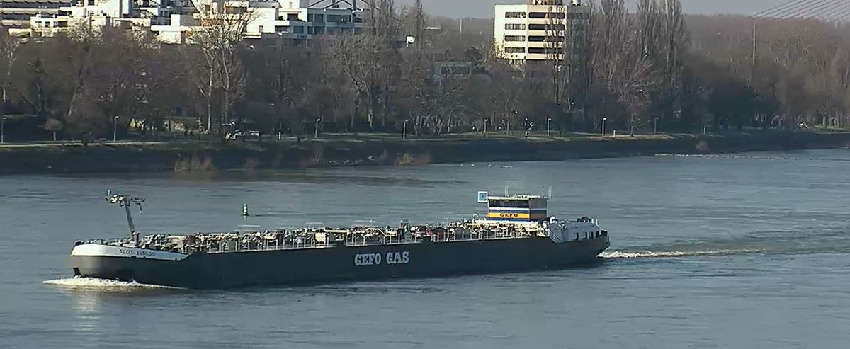 Rheinpegel's tweet photo. Hallo #Slot #Elsloo #Schiff #Bonn #Rhein https://t.co/GnuTvr3QeI