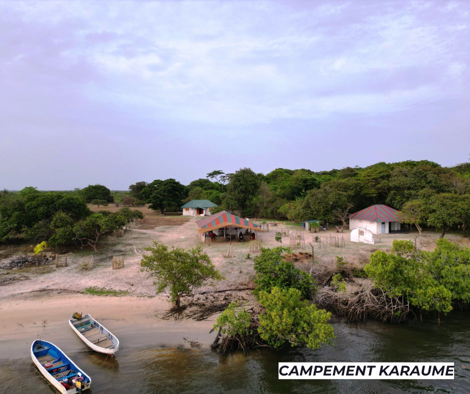 ausenegalcom's tweet photo. 🌿 Casamance : Face au tourisme de masse, les campements en Casamance défendent un modèle authentique et durable. 

Mais comment surmonter les défis pour préserver cet équilibre ? 🤔

📖 Lire l'article 👉 https://t.co/hGdNIF7mFU

 #Casamance #Écotourisme #Senegal #kebetu https://t.co/X0CBcA3FJE