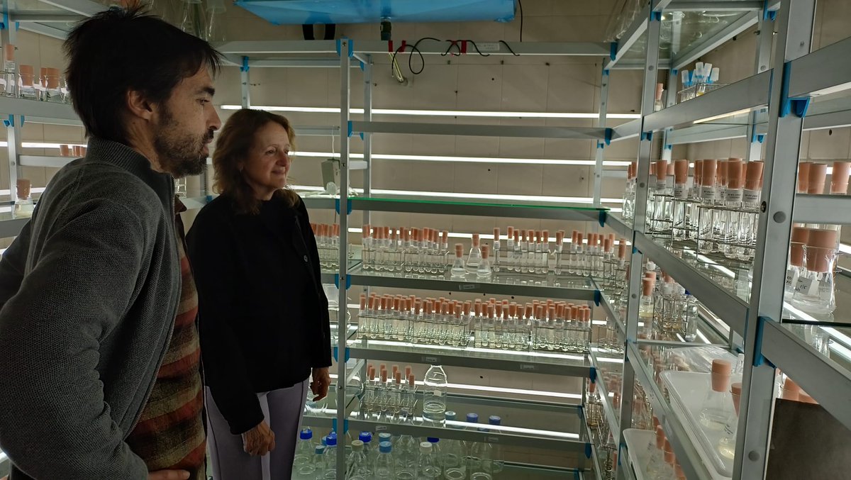 IEO Vigo tweet media