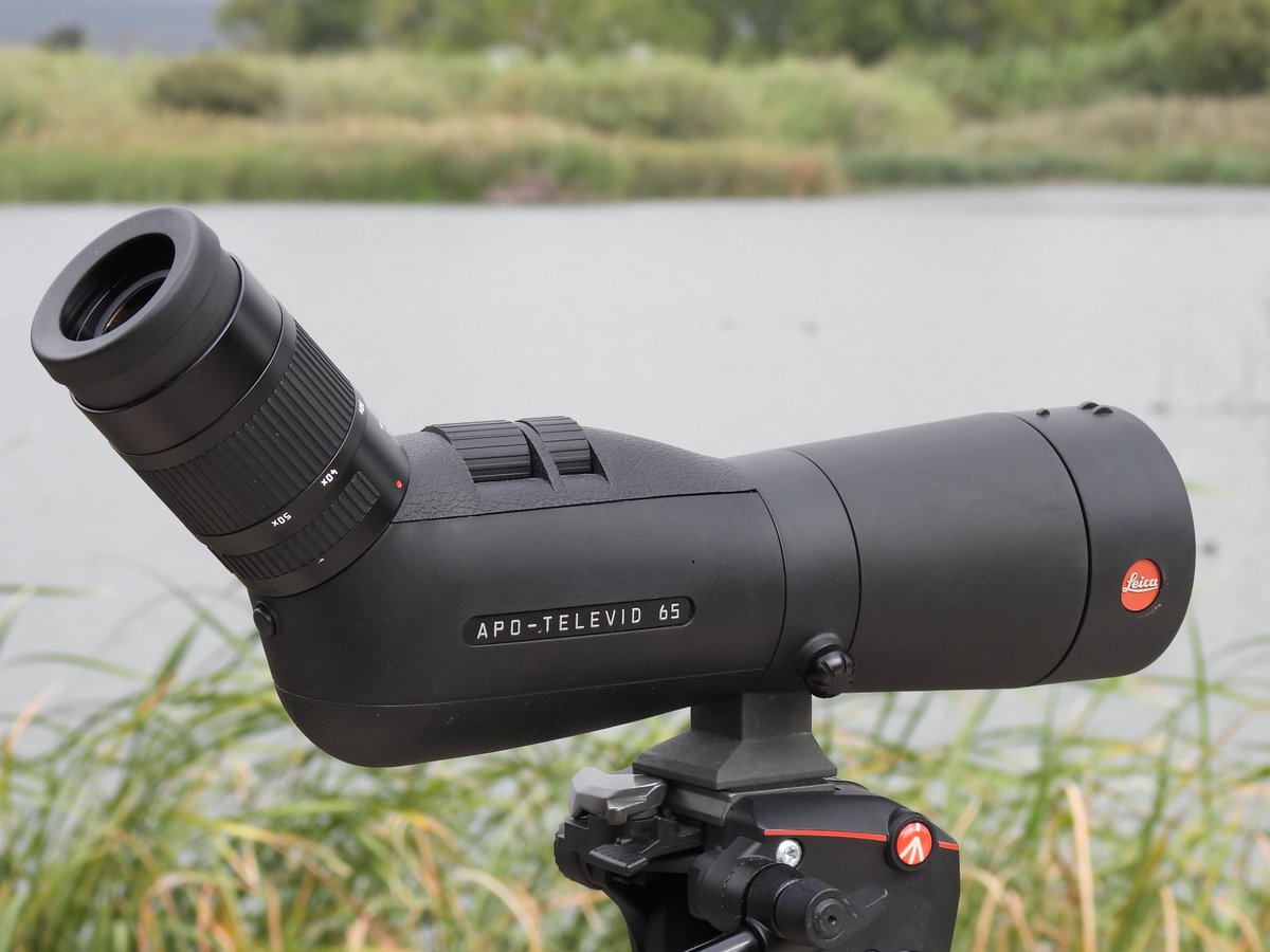 THE BIRDER'S STORE (@birdersstore) on Twitter photo The <a href="/LeicaBirding/">Leica Nature & Birding</a> APO Televid 65 is one of the finest #birding scopes available.
Coupled with the 25-50x wide angle zoom it offers the best of both worlds - great portability with superb colour rendition and sharp images even at high magnifications.
🔽
birders-store.co.uk/leica-apo-tele… The <a href="/LeicaBirding/">Leica Nature & Birding</a> APO Televid 65 is one of the finest #birding scopes available.
Coupled with the 25-50x wide angle zoom it offers the best of both worlds - great portability with superb colour rendition and sharp images even at high magnifications.
🔽
birders-store.co.uk/leica-apo-tele…