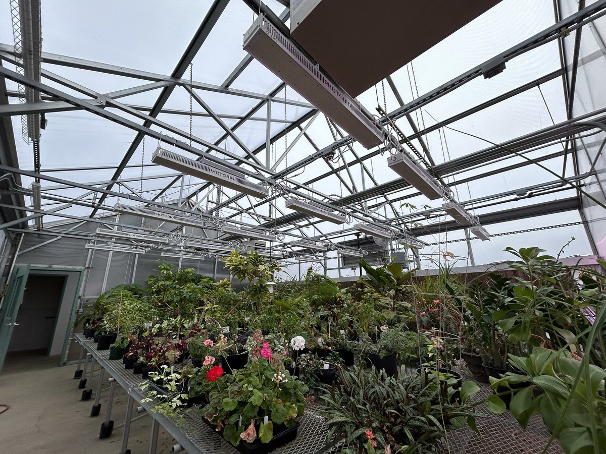 Renovating three WSU Pullman facilities to enhance research &amp; teaching! January brought big progress—check out these amazing Abelson &amp; Steffan greenhouse photos!