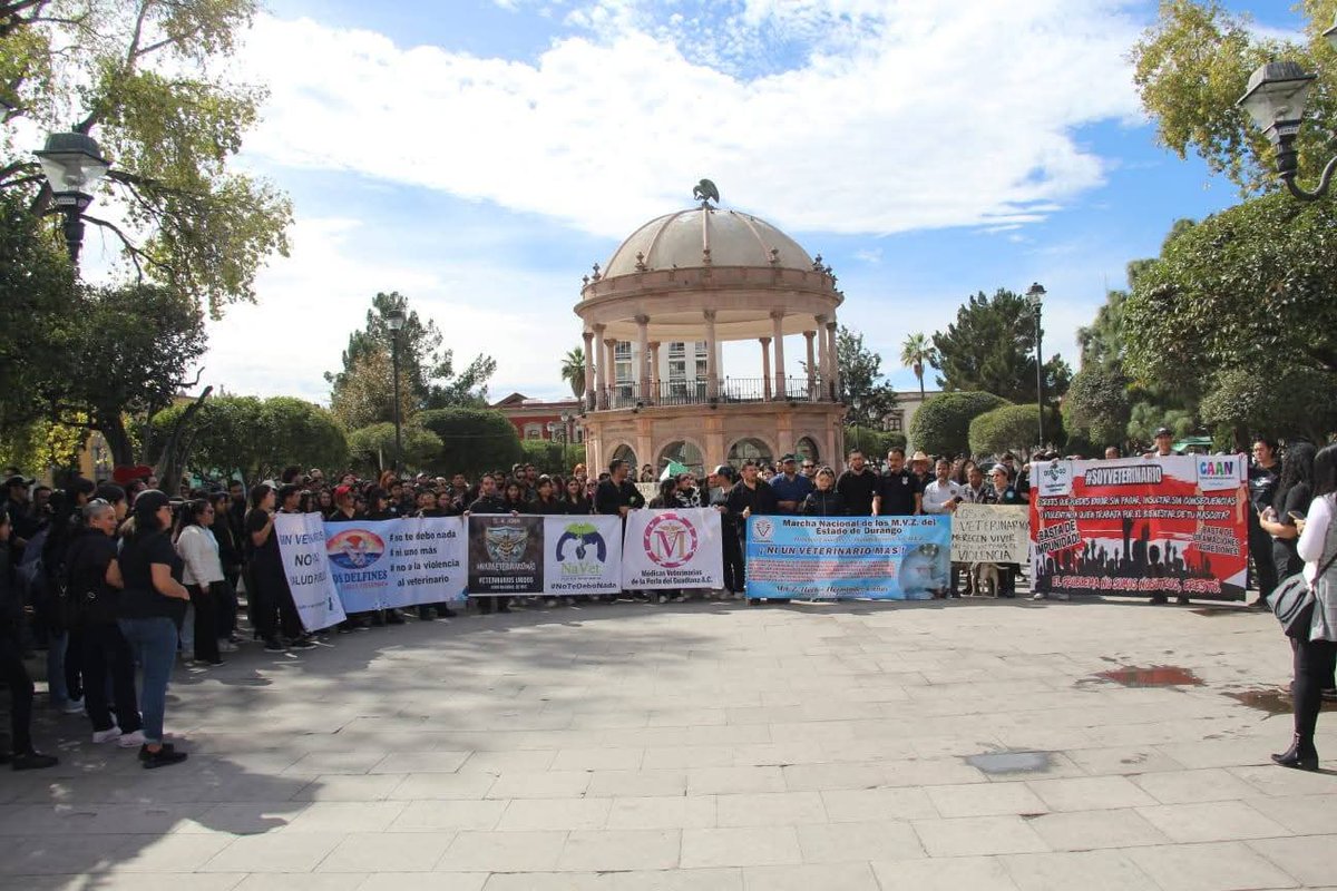 Los médicos veterinarios de #Durango nos sumamos a la marcha nacional en defensa de la dignificación de nuestra profesión, alzando nuestra voz en protesta por el trágico asesinato de nuestro colega Héctor Hernández Cañas.

#JusticiaParaLosMVZ #NoMásViolencia