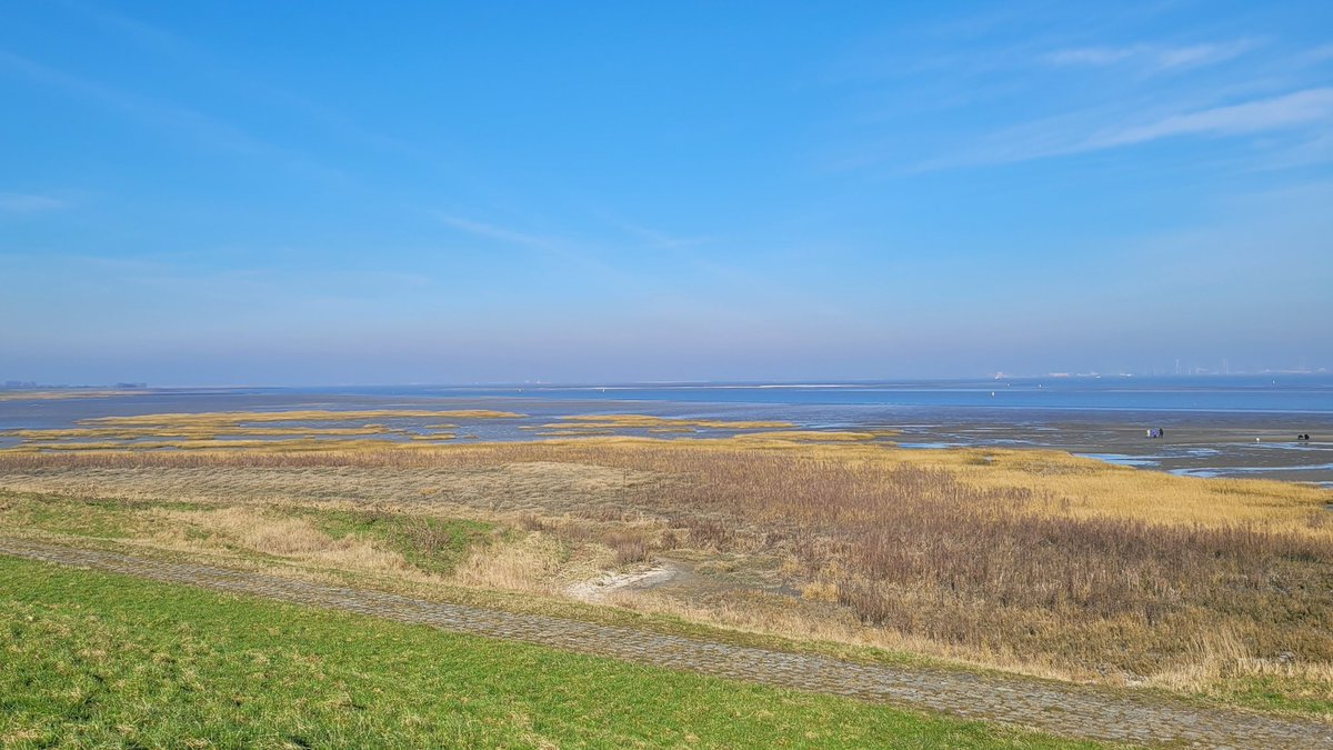 The little visited landing beach for 9 Canadian Brigade near Hoofdplaats. They outflank several German positions, having embarked near Terneuzen on Oct 9 1944. With a lengthy 1/2 day training on their new  mounts. LVT or Buffaloes would swim them at 7mph up to the beach.