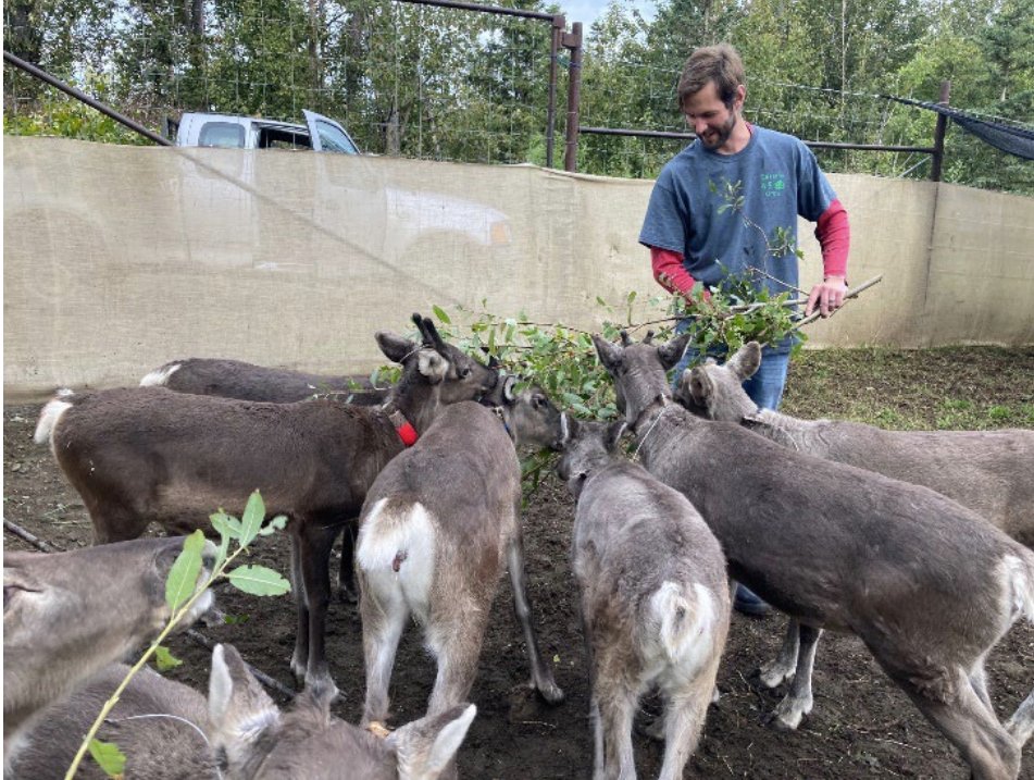 Nutritional Ecology Working Group (NEWG) (@newg_tws) on Twitter photo The Nutritional Ecology Working Group is pleased to announce that registration is now open for the Skills Workshop: Measuring Forage Quantity and Quality for Herbivores.  The workshop will be held June 10-12 (June 13 optional half day) in Palmer, AK. wildlife.org/newg/workshops/ The Nutritional Ecology Working Group is pleased to announce that registration is now open for the Skills Workshop: Measuring Forage Quantity and Quality for Herbivores.  The workshop will be held June 10-12 (June 13 optional half day) in Palmer, AK. wildlife.org/newg/workshops/