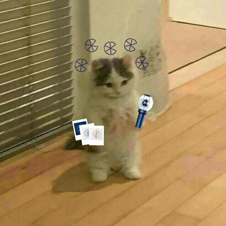 I need cix Europe tour announcement by next week or else … <a href="/OfficialC9ent/">C9 Entertainment</a>