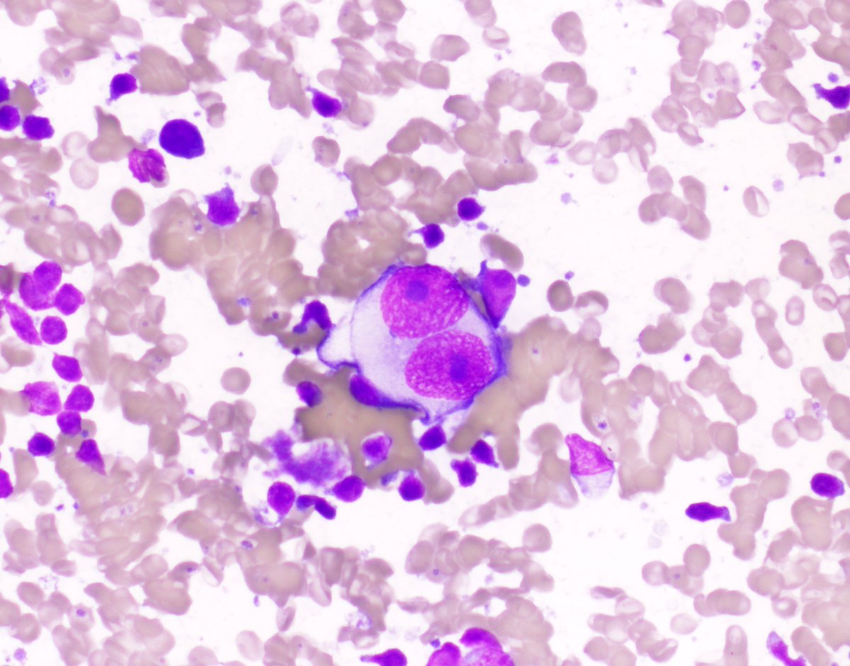 Vanda Torous MD tweet media