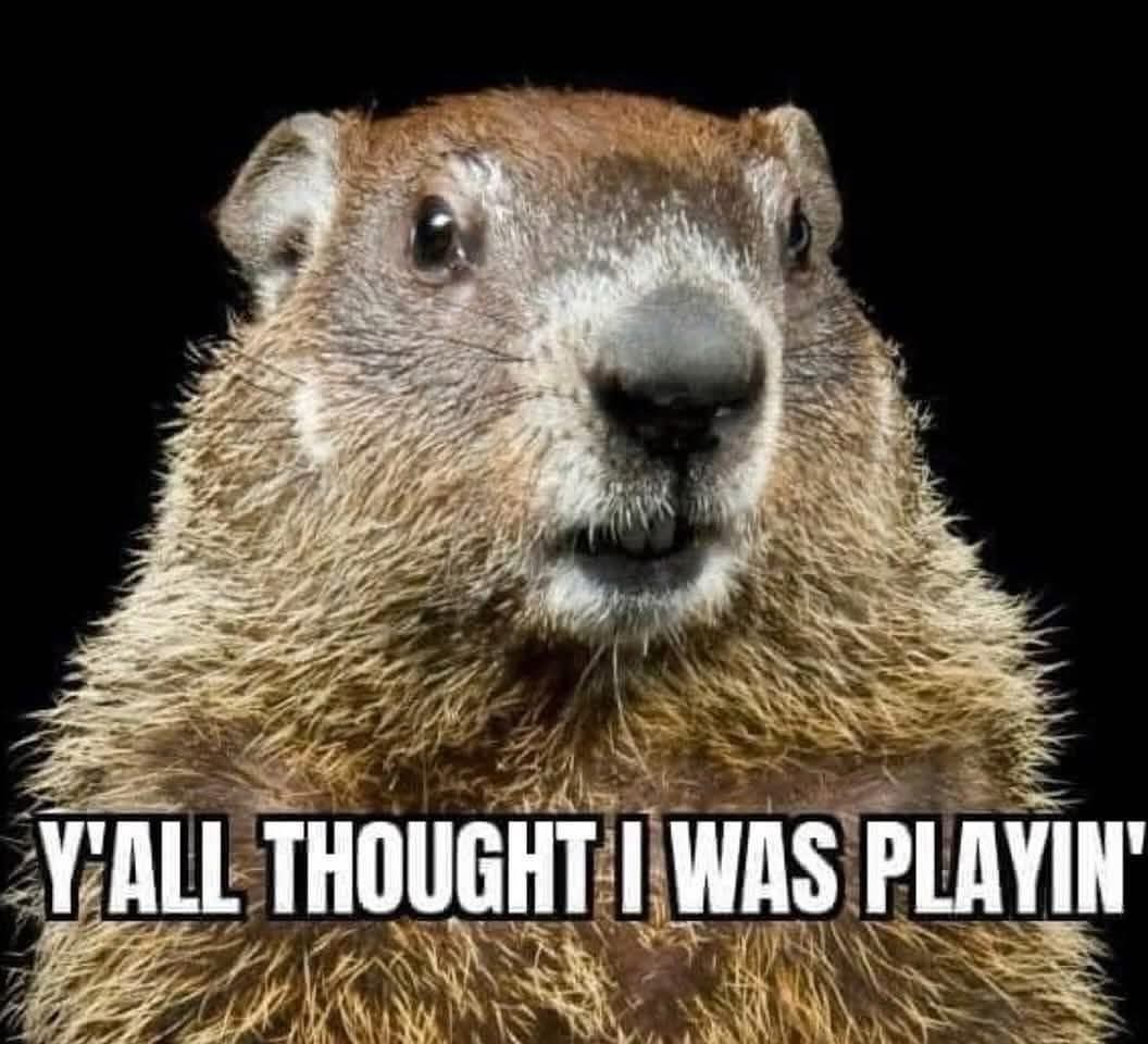 djtimmygatl's tweet image. For those that have no faith in the groundhog check your forecast for this weekend! #groundhog #groundhogprediction #winter #morewinterweather #staywarm