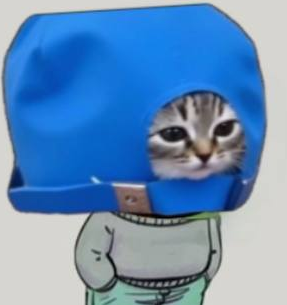 capcat_on_sol's tweet photo. @HBDCERC20 @elitechads https://t.co/c4V0WRGuPt