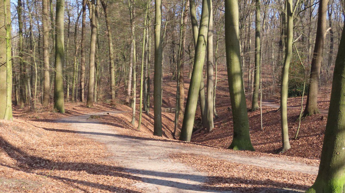 MvStuijvenberg1's tweet photo. #WarnsBorn 
#ZomaarEenDinsdagOchtend 
#ZomaarEenDinsdagMiddag https://t.co/ULsnzeMybS