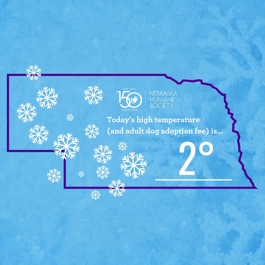 Today until Sunday, all dogs 35lbs+ will have their adoption fees determined by the daily high temp according to <a href="/KETV/">KETV NewsWatch 7</a>! We'll post an update each morning to announce the fee for that day. ❄️

Today's adoption fee is... $2! See all of our dogs here: bit.ly/3jtl3cD