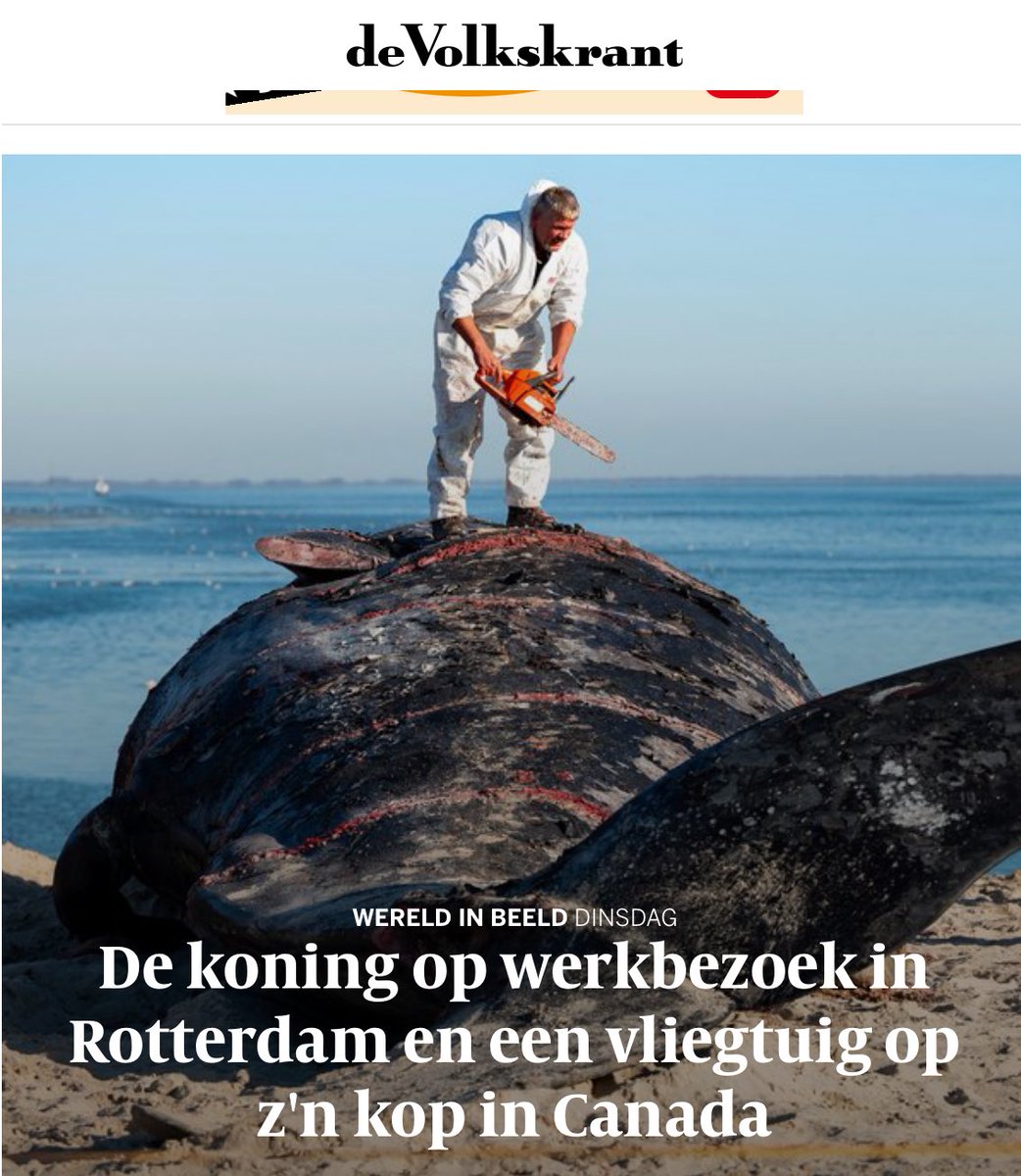 Je kunt van onze #koning zeggen wat je wilt, maar hij is nergens te beroerd voor. ⁦<a href="/volkskrant/">de Volkskrant</a>⁩