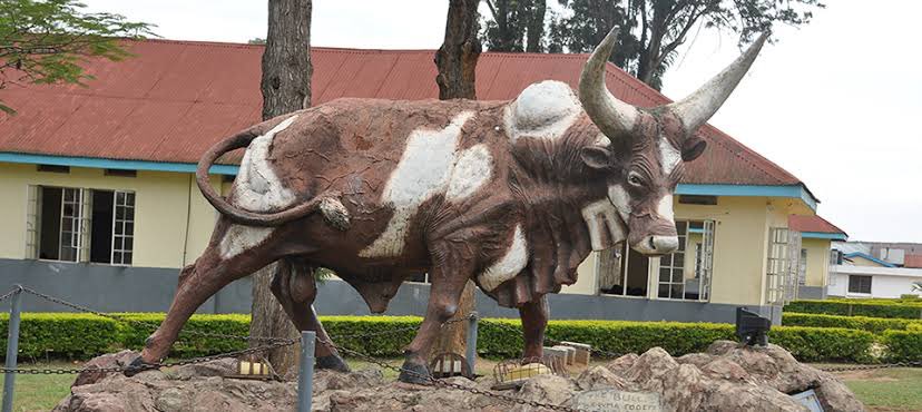 Duncan Abigaba tweet media