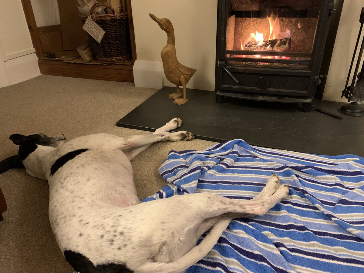 Willow loving the fire. Half-term hols down in Devon