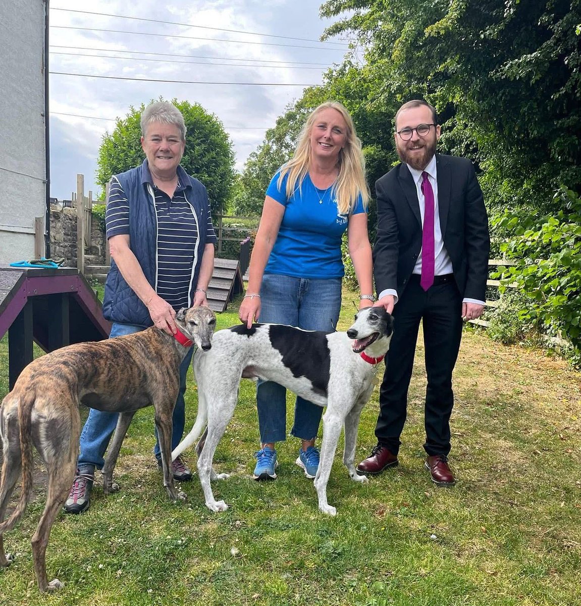 JackSargeantAM's tweet photo. 🎉Campaign success: An end to greyhound racing in Wales! 

I was proud to work on this campaign during my time as Chair of the @SeneddPetitions Committee, working alongside the #CutTheChase coalition to call for an end to this cruel sport. https://t.co/UPGEli27kX