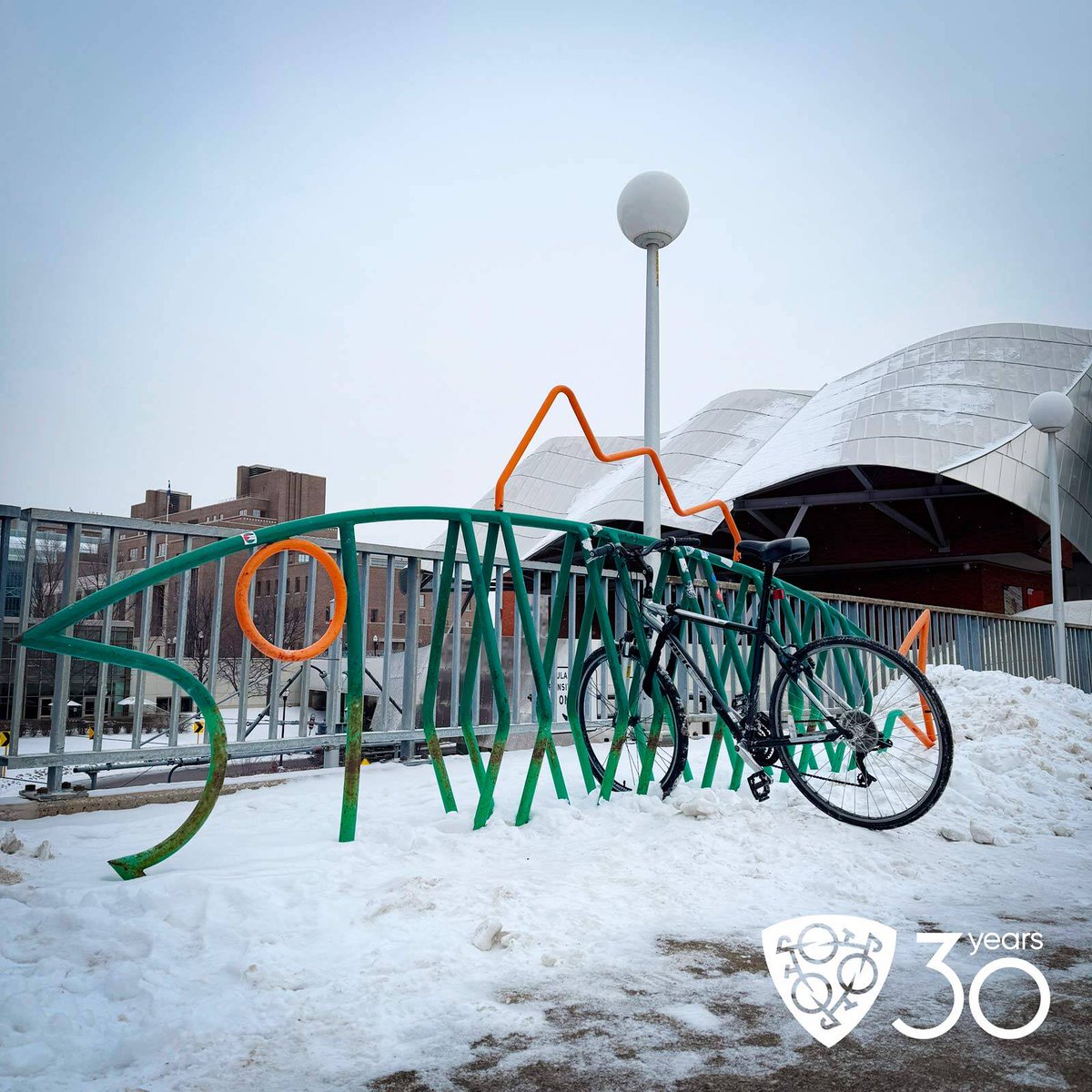 Oh my cod! Our original fish rack is still in place at the University of Minnesota. Just one sole bike is using it to perch on this frosty day though.

#RackUpAndRide #SustainableTransport #ExploreMore