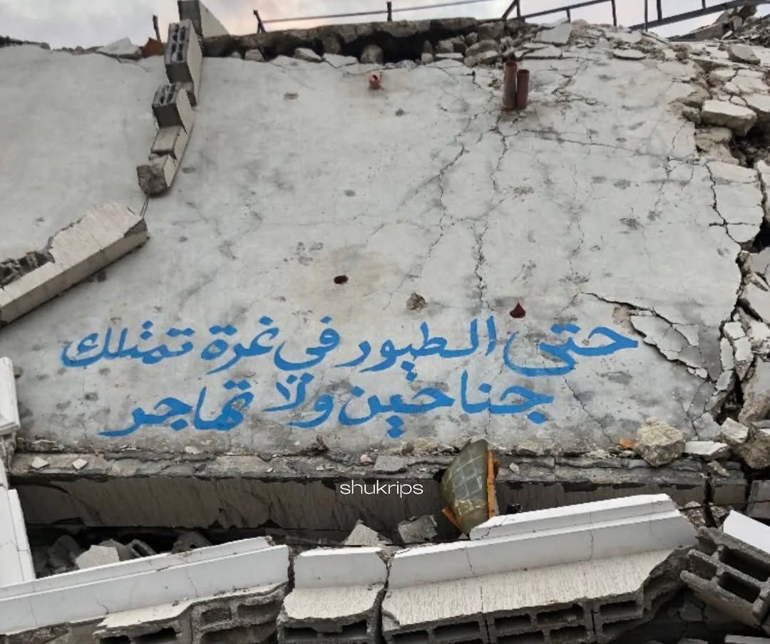 mualliimee's tweet image. Gazze'de bir duvara yazılmış yazı:

"Gazze'deki kuşların bile kanatları var ama yine de göç etmiyorlar..."

#GazaNeedsNoRelocation