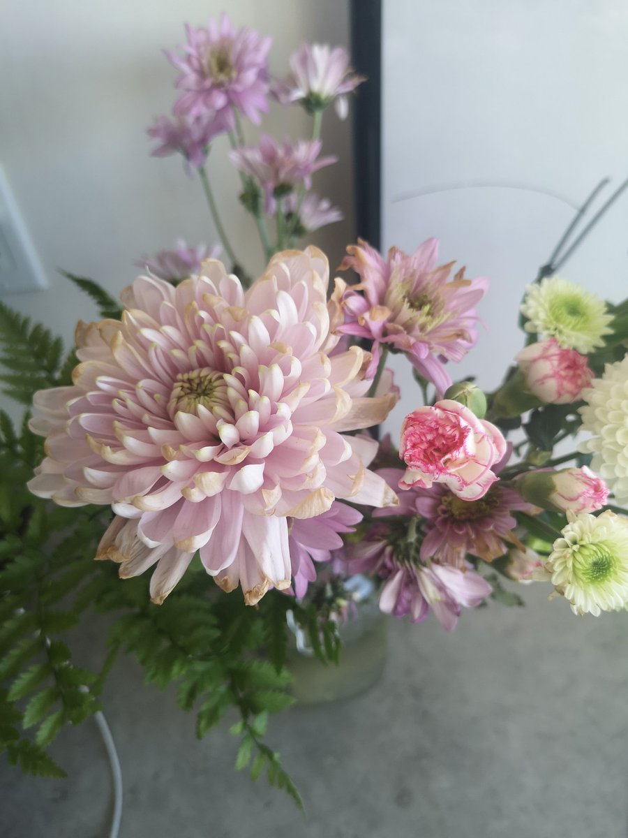 I've realized that getting flowers in -25 automatically makes everything feel better 😊 #secretstothecold #yyc