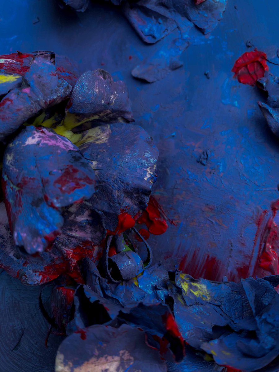 Zoe Louise tweet media