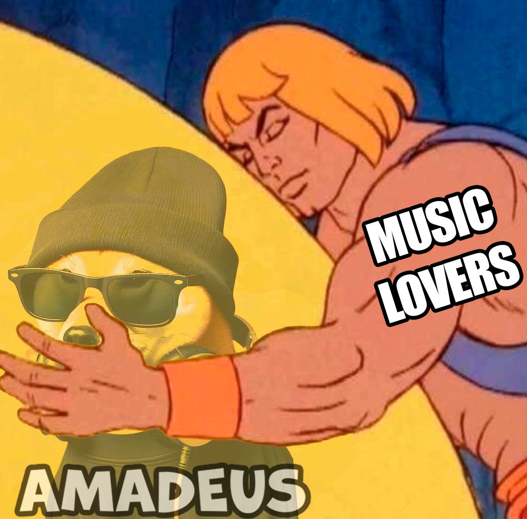 AMADEUS tweet media