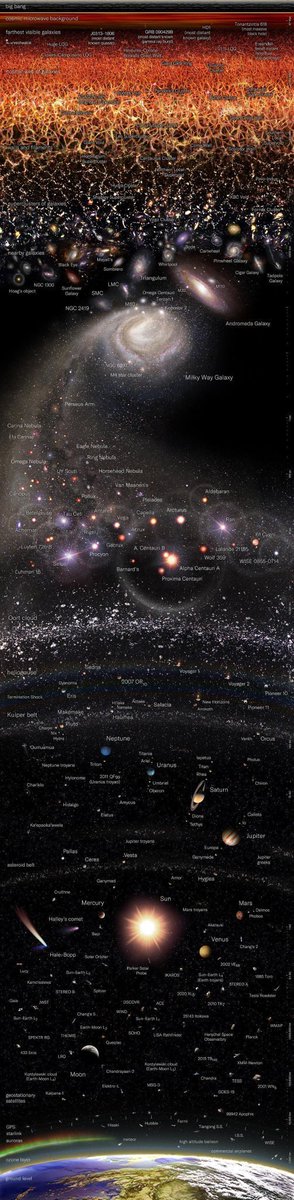 Black Hole tweet media