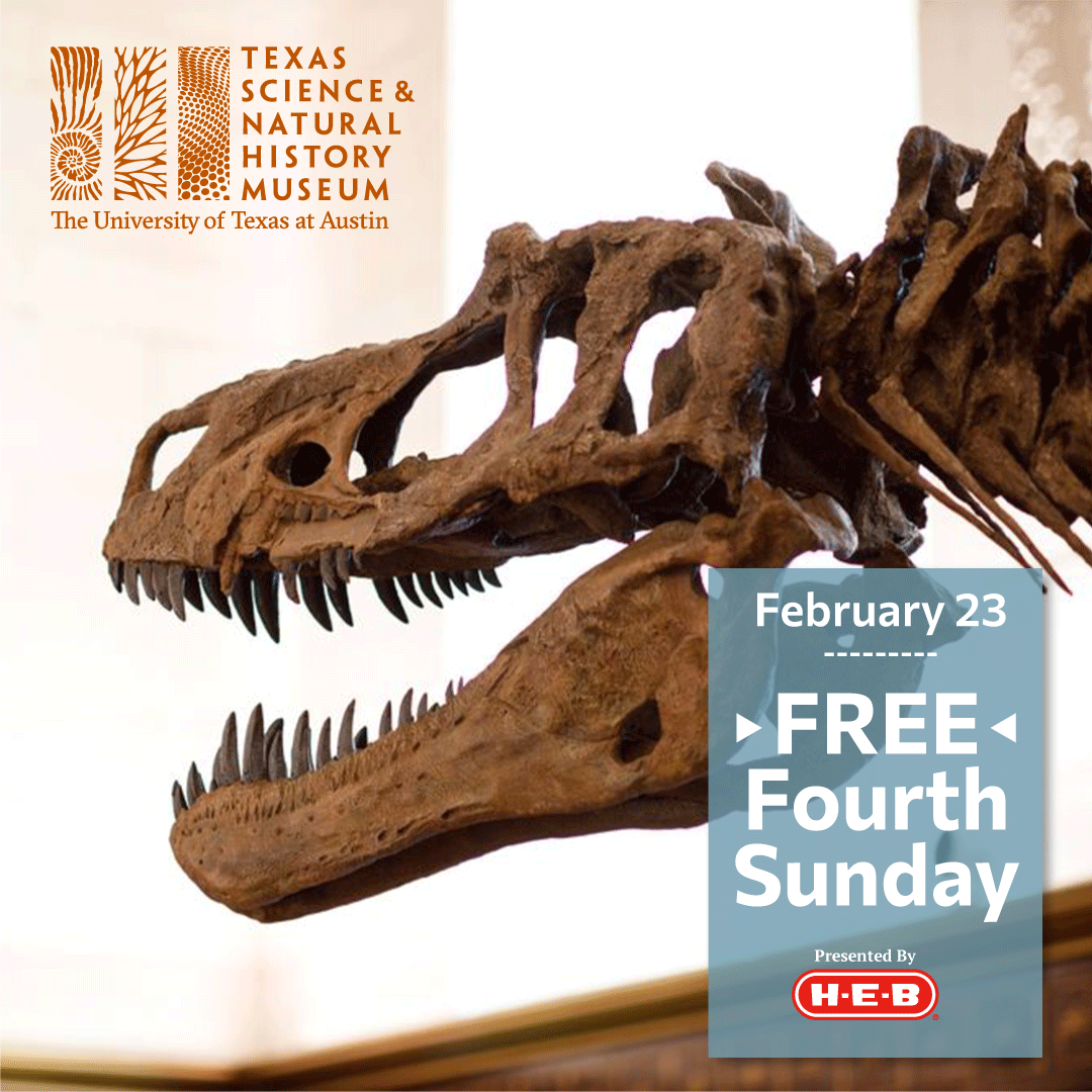Enjoy FREE admission at Texas Science &amp; Natural History Museum on Sunday, Feb. 23 during @heb Free Fourth Sunday! The museum is located on the <a href="/UTAustin/">UT Austin</a> campus at 2400 Trinity St. and is open from 1:00 to 5:00 p.m. on Sundays. sciencemuseum.utexas.edu