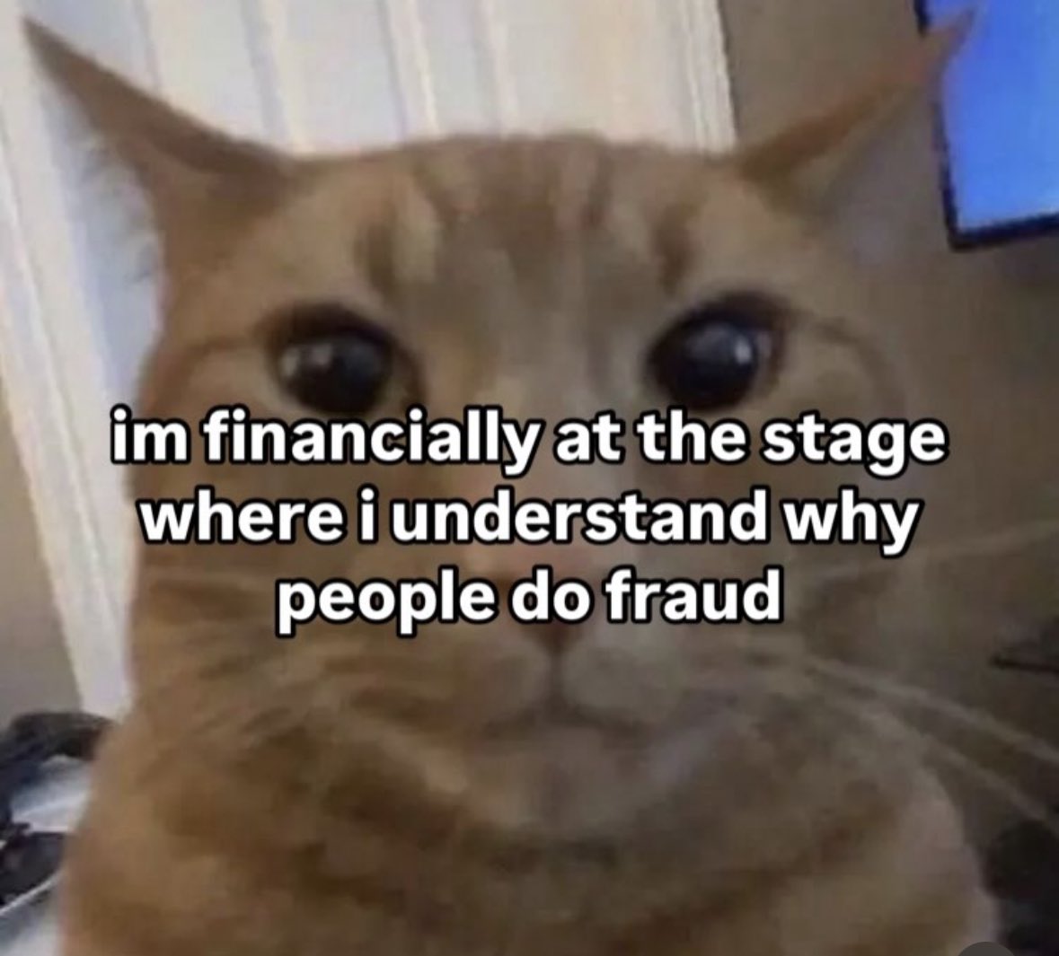 nighthawk (@nighthawk_io) on Twitter photo 