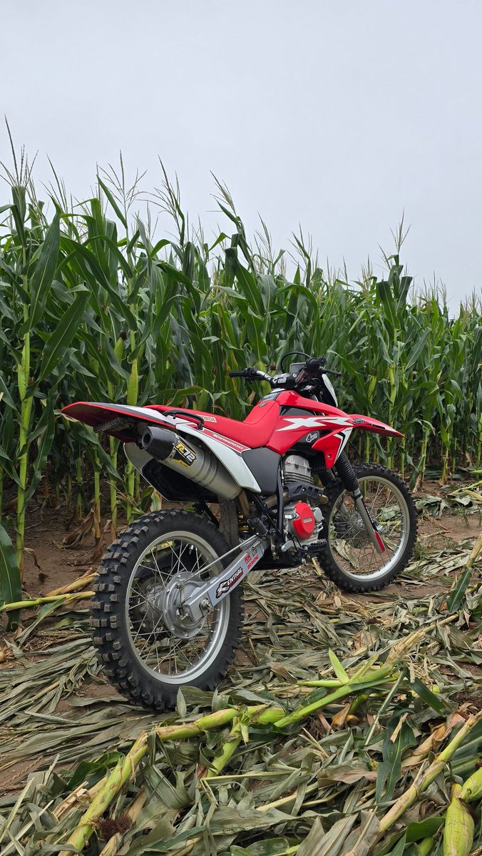 Dumpcito de mucha moto 🫶🏻✊🏻