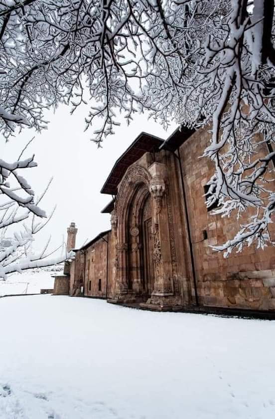 ercan özçelik tweet media