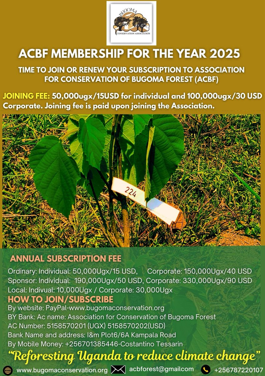 Acbforest's tweet image. Our project of tree planting is on going #Every5Acres support the association #Beamember bugomaconservation.org