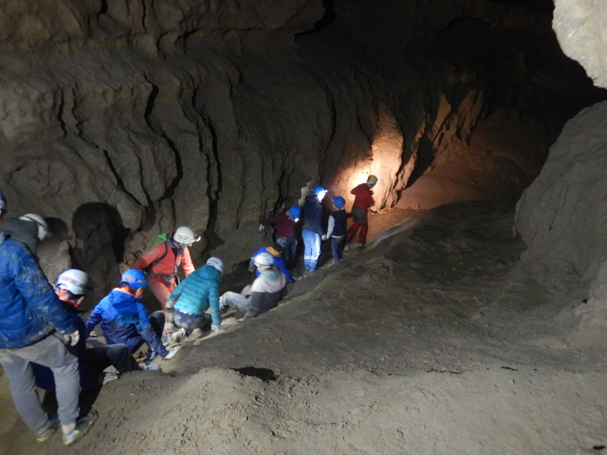 aranzadi's tweet photo. 💚 #BihotzBerdeak espeleologiaz gozatzen! Goiz zoragarria pasa zuten naturan, Aiako Zazpiturri kobazuloan. Haitzuloaren formazioak eta bertan bizi diren izaki bizidunak ikertu zituzten. ¡Esperientzia ahaztezina! 🌿
@kutxafundazioa
#Espeleologia #Natura #Zazpiturri https://t.co/1IlSi8Wasc