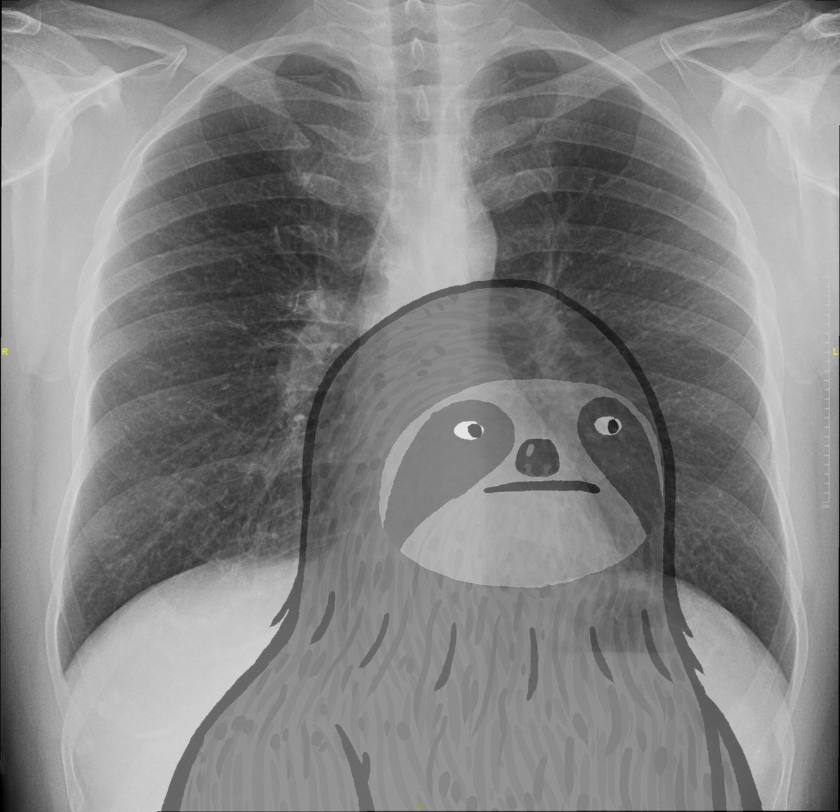 tulkas's tweet photo. got that sloth in me https://t.co/vzh3Su5XuG