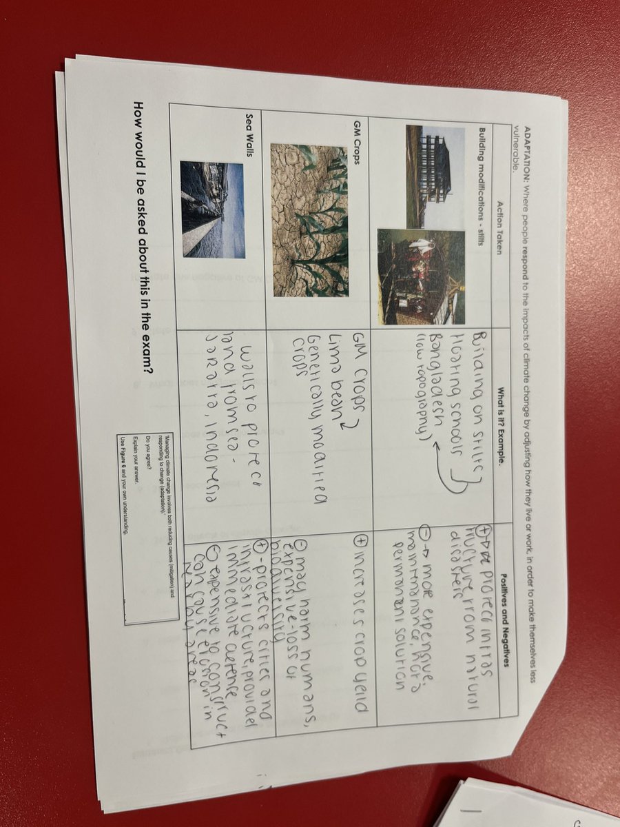 Successful half term school covering climate change 🌍✍🏻
