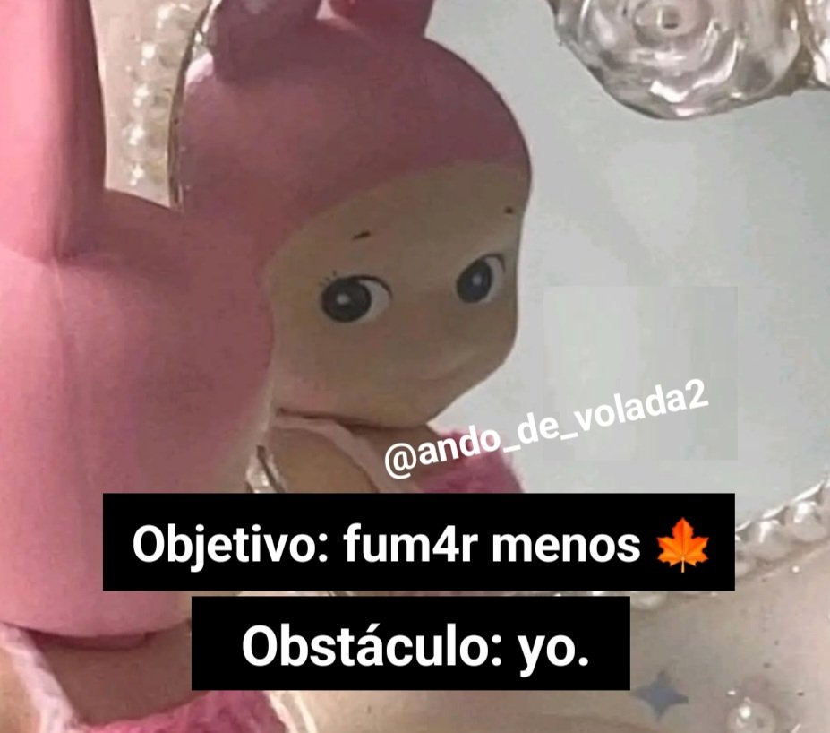 Ando_de_volada tweet media