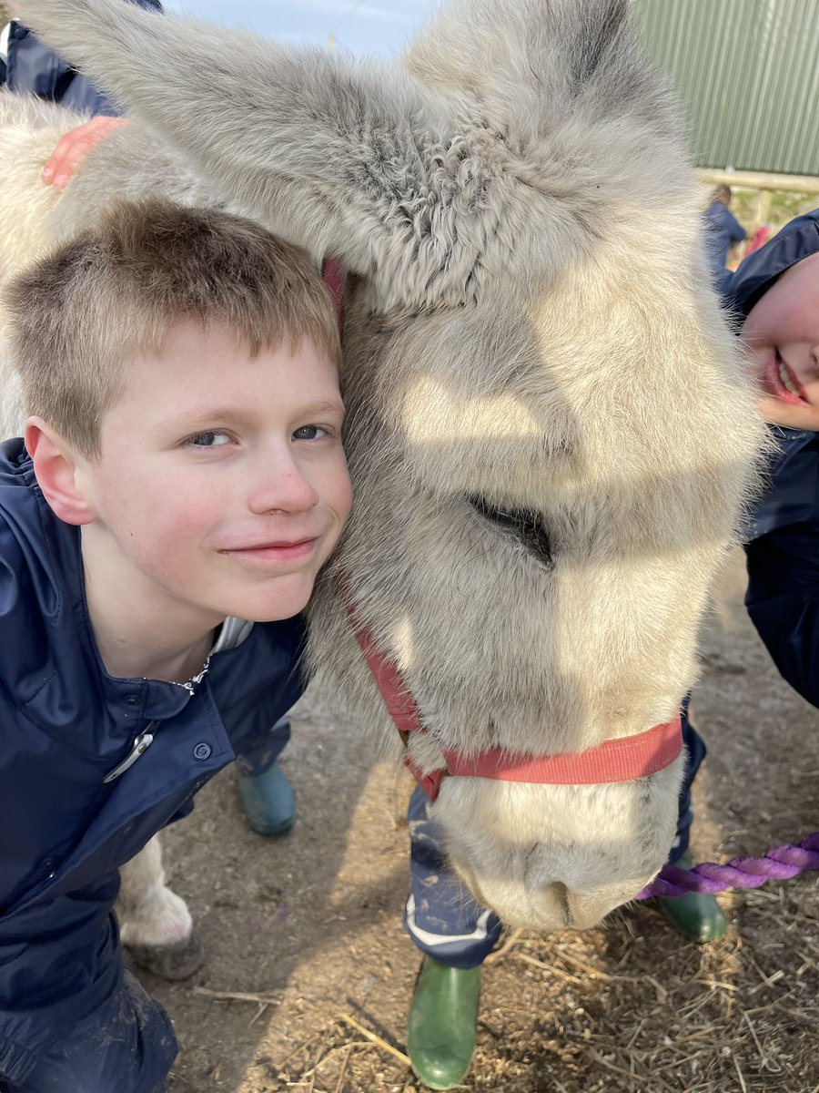Wick Marcross (@wickps) on Twitter photo It’s been a busy afternoon <a href="/Treginnis_FFCC/">Lower Treginnis - Farms for City Children</a> . Preening the donkeys! #HCI #ACL #collaboration #curiosity It’s been a busy afternoon <a href="/Treginnis_FFCC/">Lower Treginnis - Farms for City Children</a> . Preening the donkeys! #HCI #ACL #collaboration #curiosity