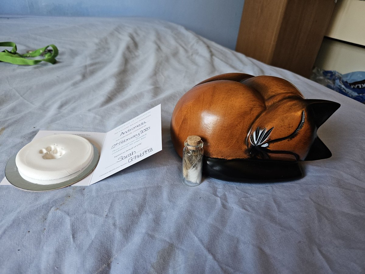 Angel Annie. tweet media