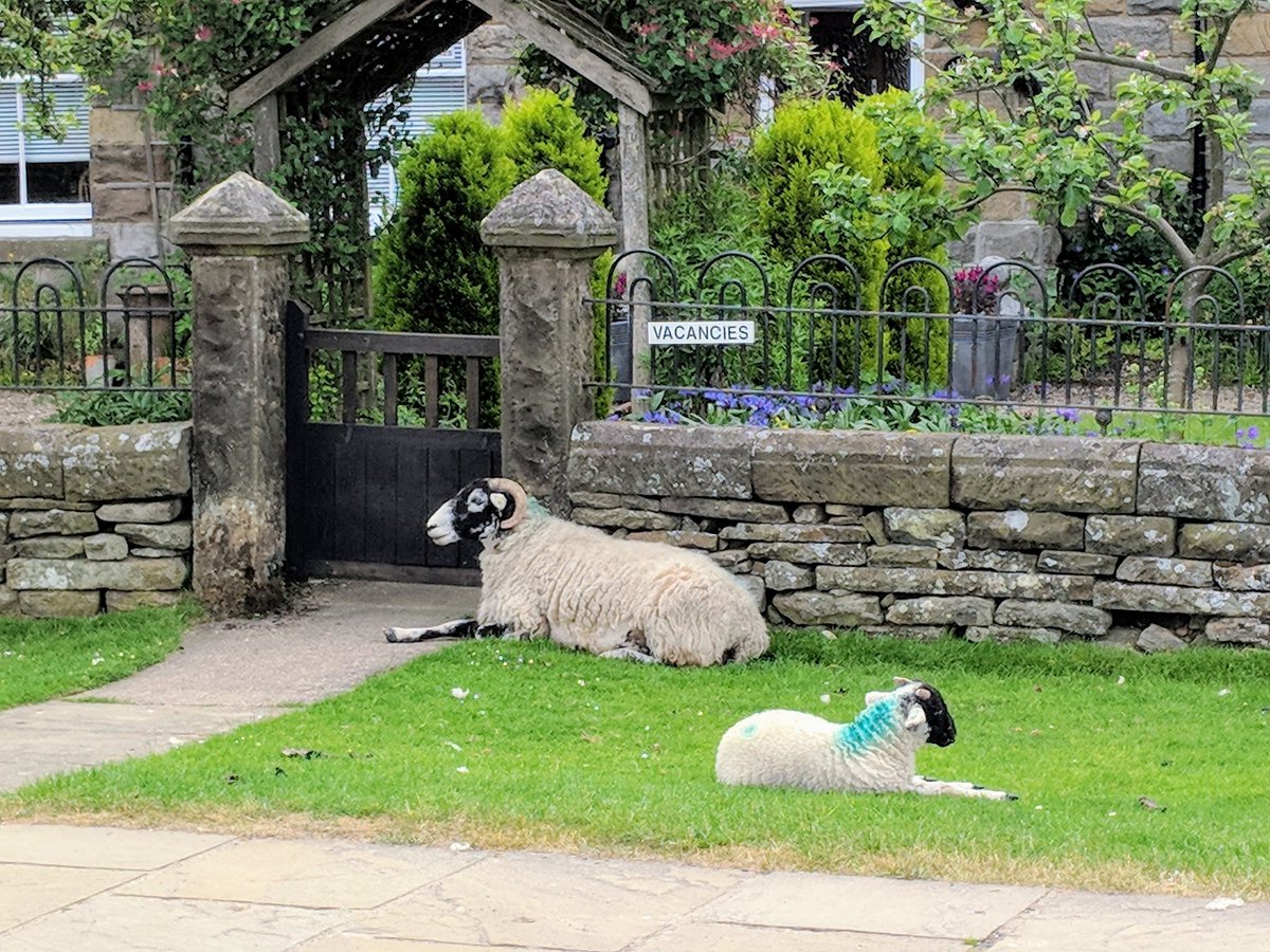 GlendaleHouse's tweet photo. Bed and breakfast in the centre of the moorland village of Goathland on the North Yorkshire Moors .Check availability and book direct online https://t.co/UflhAhJQWc #goathland #yorkshire #wheretostay #yorkshirehospitality #countrywalking
#countrypubs #bedandbreakfast https://t.co/8ZzEL9EEKo