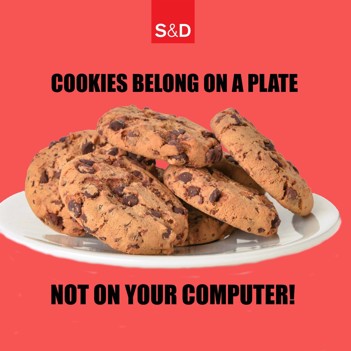 S&D Group (@theprogressives) on Twitter photo Sick of constant cookie popups? Us too. We were working on an ePrivacy Regulation for a simpler digital space for you that protects confidentiality of communication.
<a href="/HennaVirkkunen/">Henna Virkkunen</a> wants to drop it.
Today in <a href="/EP_Justice/">LIBE Committee Press</a> we need clarifications on what comes next.
<a href="/BirgitSippelMEP/">Birgit Sippel MEP</a> Sick of constant cookie popups? Us too. We were working on an ePrivacy Regulation for a simpler digital space for you that protects confidentiality of communication.
<a href="/HennaVirkkunen/">Henna Virkkunen</a> wants to drop it.
Today in <a href="/EP_Justice/">LIBE Committee Press</a> we need clarifications on what comes next.
<a href="/BirgitSippelMEP/">Birgit Sippel MEP</a>