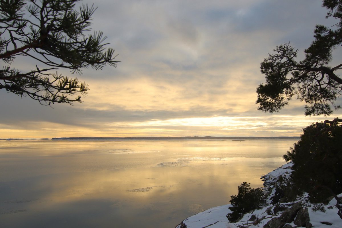 Elina Koivisto tweet media