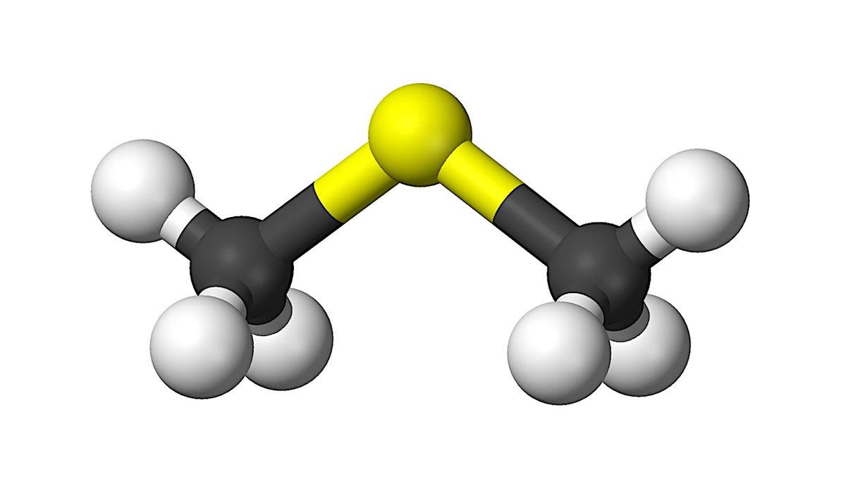 Miguel Sanz-Novo (@miguelsanznovo) on Twitter photo 🚨NEW RESULT!🚨 We have a new member in the family of interstellar molecules harboring sulfur: CH₃SCH₃, the well-known dimethyl sulfide (DMS), at last! <a href="/ryvendel/">Víctor M. Rivilla</a> 🚨NEW RESULT!🚨 We have a new member in the family of interstellar molecules harboring sulfur: CH₃SCH₃, the well-known dimethyl sulfide (DMS), at last! <a href="/ryvendel/">Víctor M. Rivilla</a>