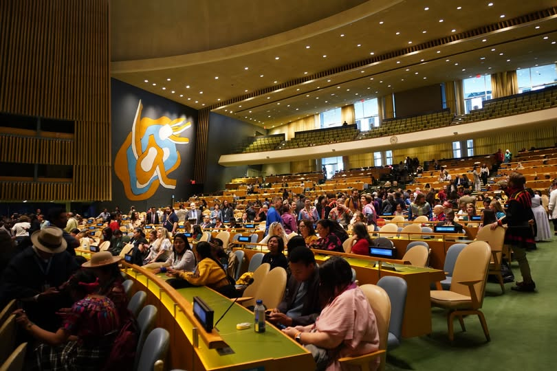 UNPFII tweet media