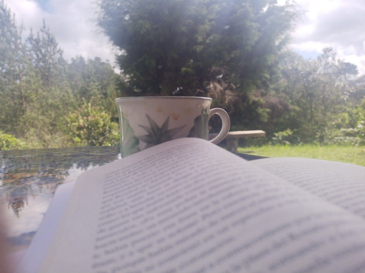 Luzhtur's tweet photo. Y al fondo en el bosque suena: Pero estoy lejos de ti, sin saber dónde andarás,si estarás pensando en mí o no me recordarás...el tango, la lectura, el café. https://t.co/qf3CbW1aFr