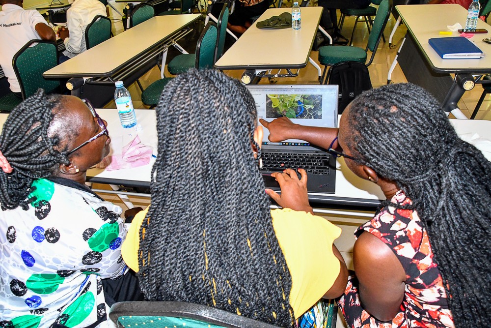NARO_NaCRRI's tweet image. Our Rootcrops team, in collaboration with @Cipotato & @IITA_CGIAR, participated in an AI-driven data annotation workshop led by the
@Makerere AI team at NaCRRI.
This training is designed to enhance #phenotyping accuracy, improve #imagescoring, & streamline #datacollection.