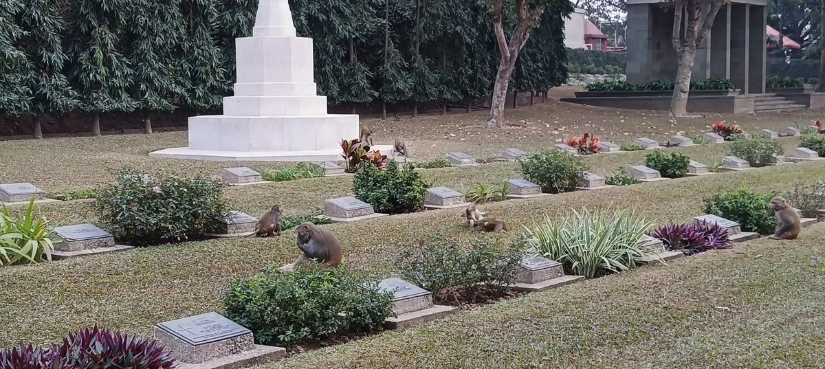 Guwahati War Cemetery 🇮🇳
<a href="/CWGC/">Commonwealth War Graves</a> 
<a href="/AAPAComms/">AAAComms</a>