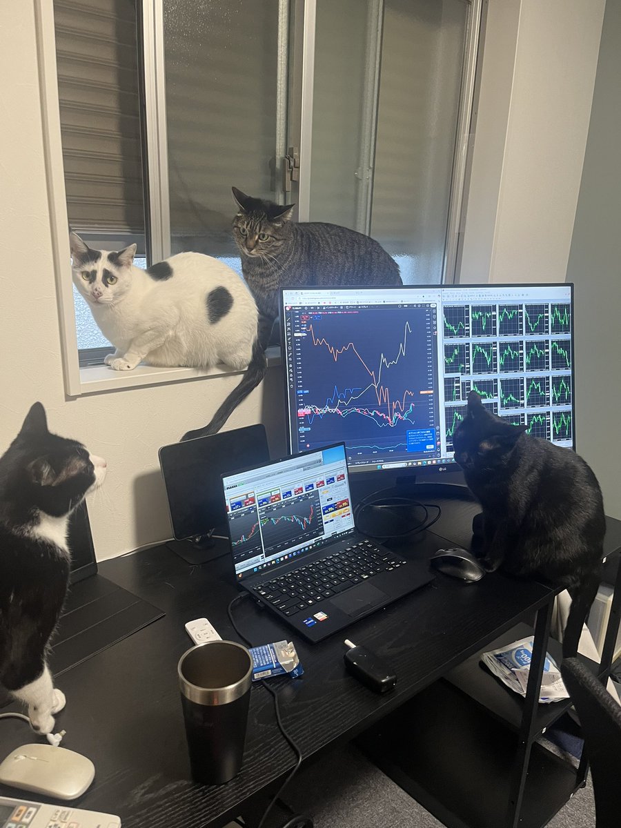 FXで爆損してる時に猫たちが集まってきて、この目……
「こいつ、またやりやがった」